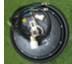 [GLCO-57] Colibri - Hub - motor (2000W)